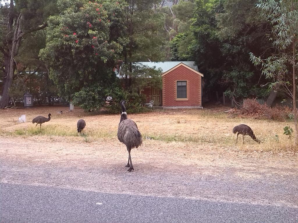 Heatherlie Cottages Halls Gap Eksteriør bilde